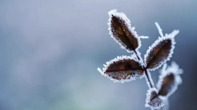 – 10°С: Қазақстанның бірнеше өңірінде аяз болады