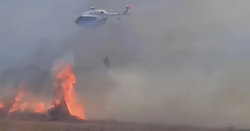  Жетісу облысында жазық даладан өрт шықты 