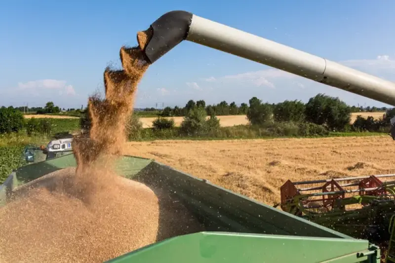 От сырья к готовой продукции: Казахстан меняет подход к аграрному производству