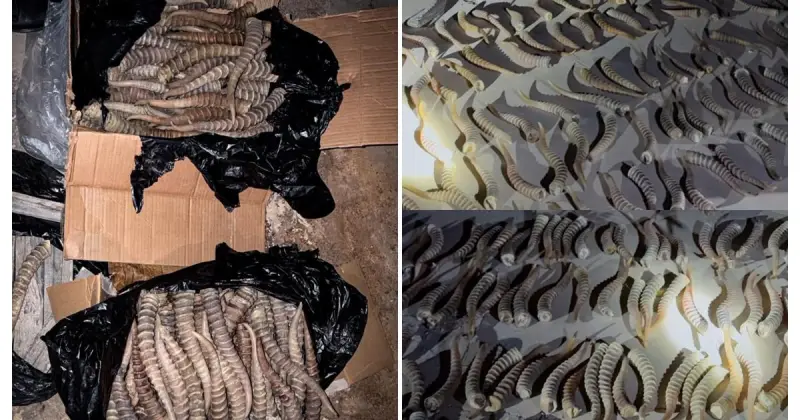 Жүздеген ақбөкенді өлтіріп, мүйізін Қытайға сатпақ болған