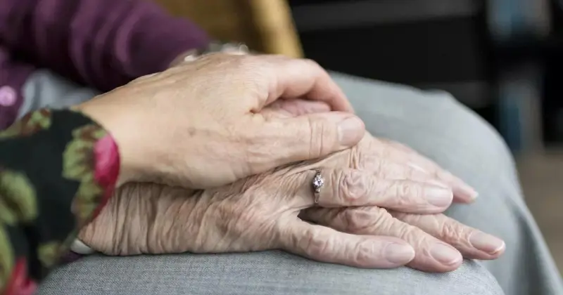  Ғалымдар 80 жастағы адамның жасушаларын 20 жасқа дейін жасартып, ерекше тәжірибе жасаған 