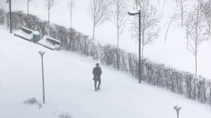 Зима наступает, ветер крепчает: объявлено штормовое предупреждение