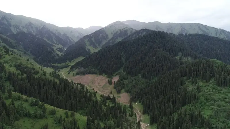 Алматы тау кластерін дамыту жобасы аясында «Almaty Tau Academy» ашылады