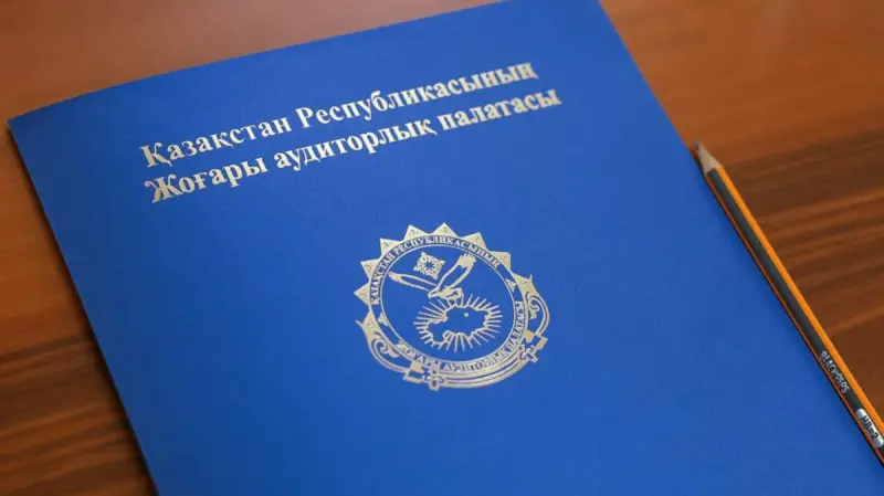 Выступают за Казахстан, но без зарплаты