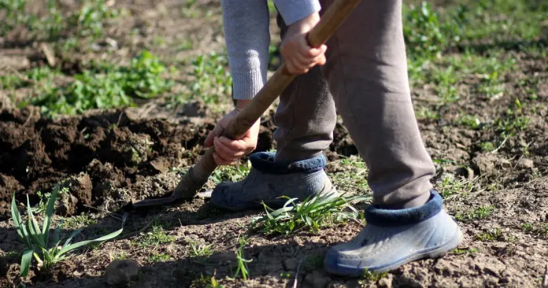 Үш қарияны үйінің ауласына көміп, олардың зейнетақысын алып отырған