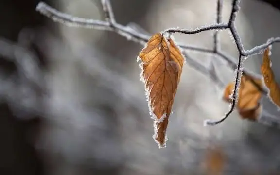 -18 градус суық, жаңбыр, тұман: Алдағы үш күнге арналған ауа райы болжамы