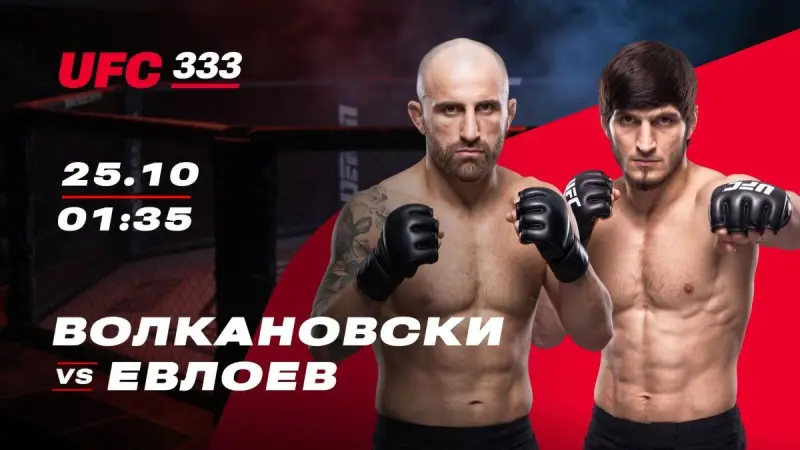 Волкановски лишится пояса? Евлоев готовит чемпиону тяжелый бой