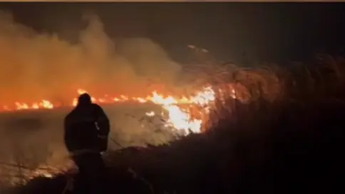 Қапшағай су қоймасының жағалауындағы қамыс өртеніп жатыр