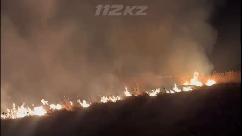 Сухая трава загорелась сразу в двух районах Акмолинской области