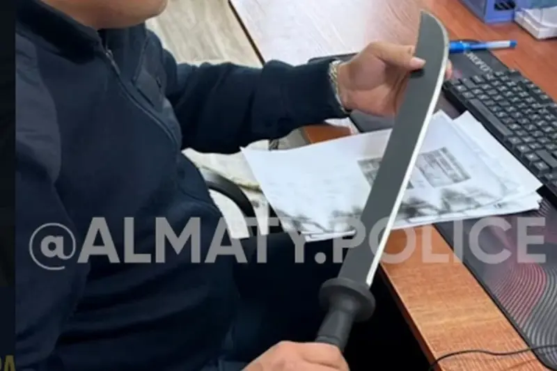 Четверых мужчин с арматурой и холодным оружием в машине задержала полиция в Алматы