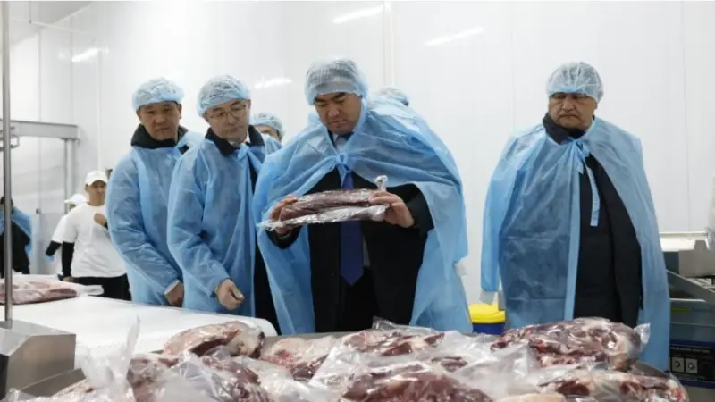 Алматы облысында ет өңдеу зауыты мен жаңа трассалық кешен ашылды
