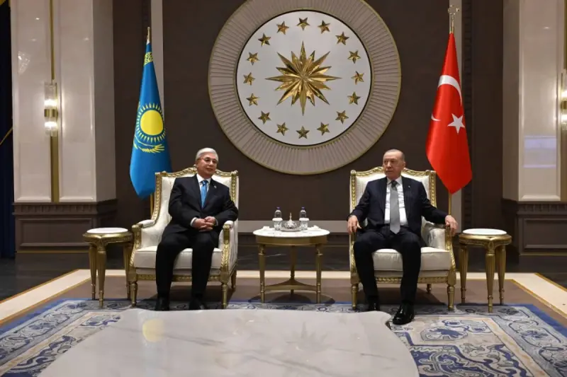 Президент пен Режеп Тайип Ердоған әуежай залында аз-кем әңгімелесті