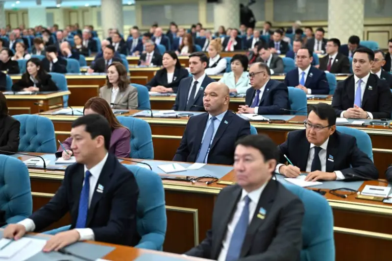 Президент: Жаңа Азаматтық кодекс қабылдау қажет