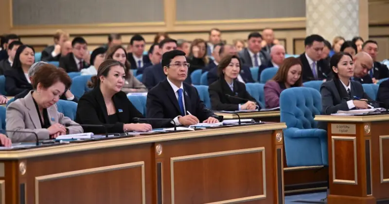   Шағын және орта бизнестің жалпы ішкі өнімдегі үлесі 40 пайызға жетті – Президент   