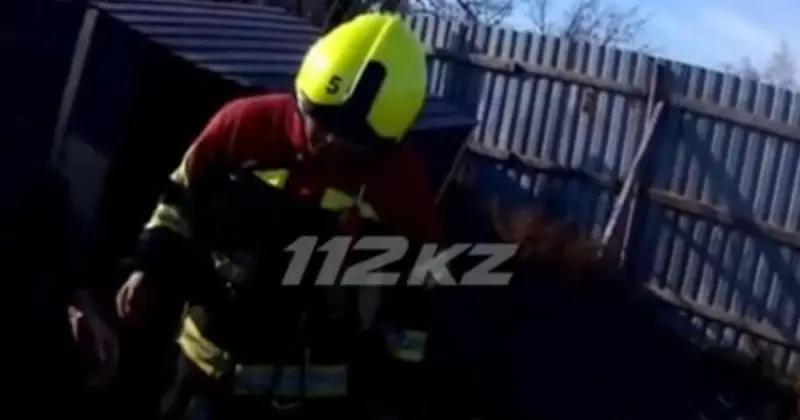  Павлодар облысында әжетханаға кірген әйел күтпеген жағдайға тап болды (ВИДЕО) 