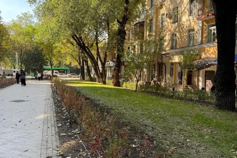 Алматының Медеу ауданында электр желілерін жөндеуге байланысты көлік қозғалысы шектеледі