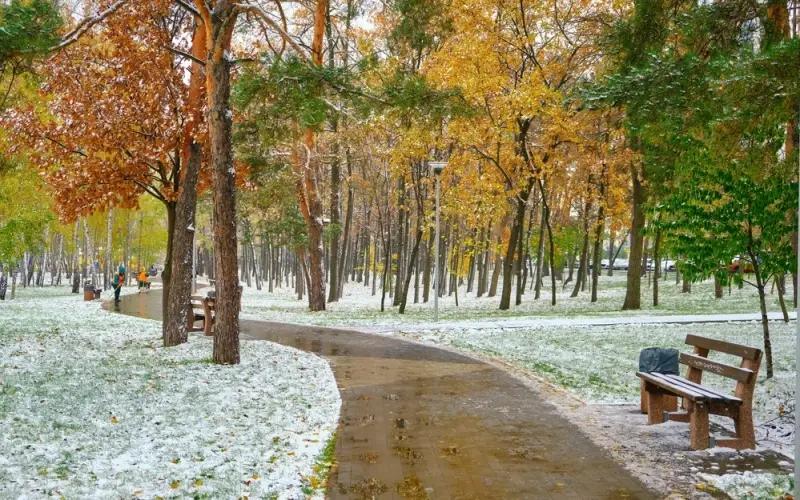 Дождь со снегом и до +20 °C: погода в Казахстане на 30 октября
