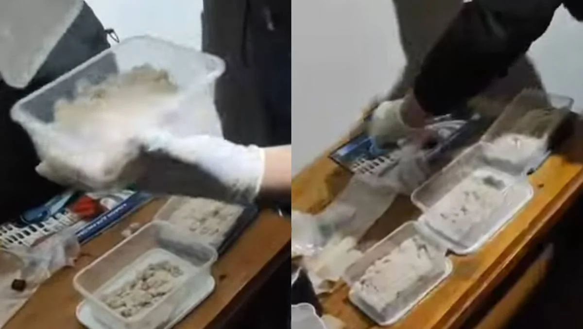 Таразда есірткіні жасырын тасымалдаушы күдікті қамалды