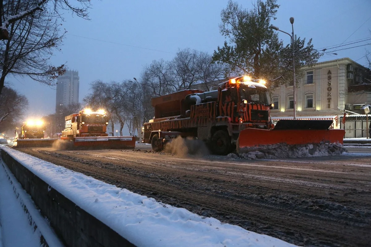 Алматы көшелерінен 11 мың текше метрден астам қар шығарылды