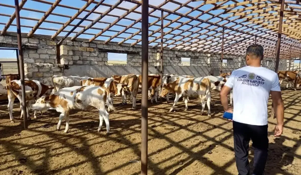 «Кооперациясыз ауыл шаруашылығы дамымайды»: депутат үкіметке сауал жолдады