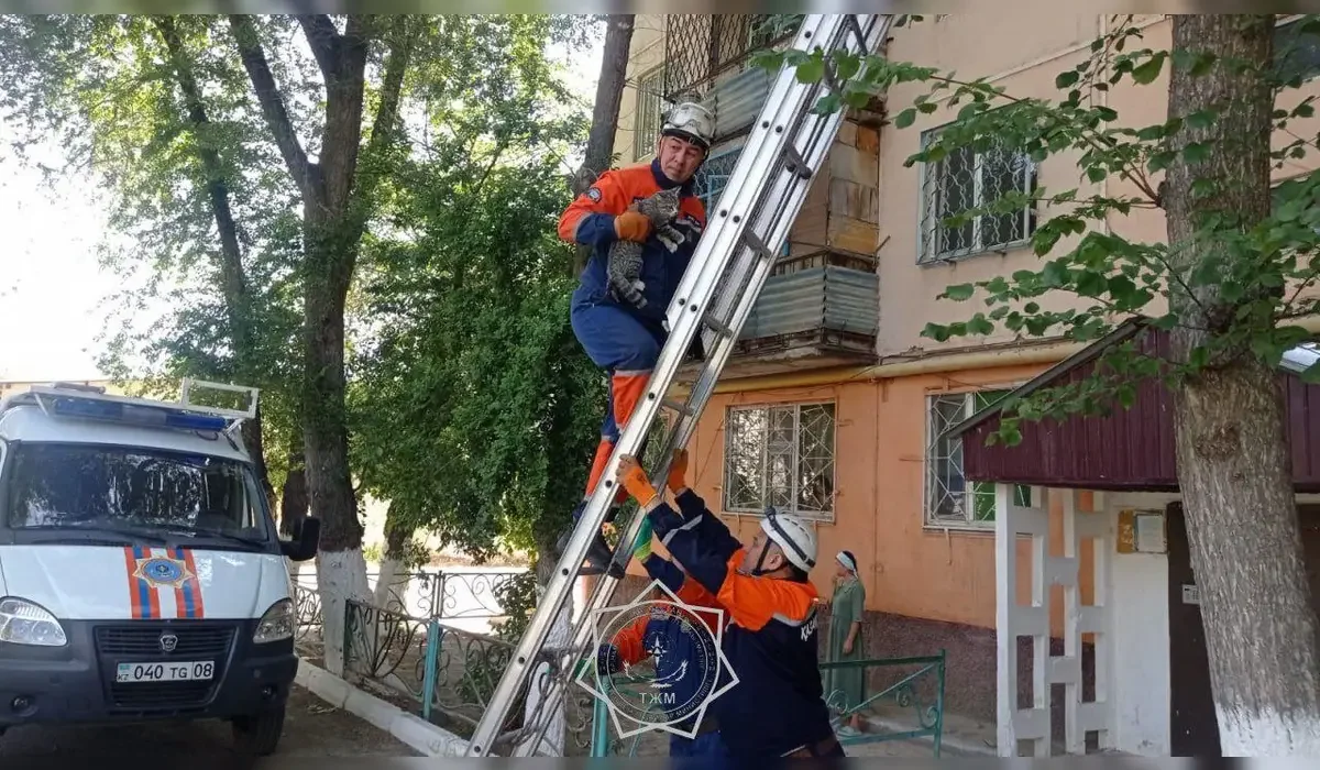 ТЖМ бір жылда 400-ден астам жануарды құтқарды