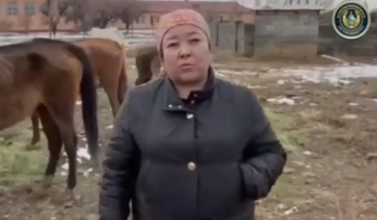 Түркістанда 21 жылқысынан көз жазып қалған әйел полицияны ыңғайсыз жағдайға қалдырды (ВИДЕО)