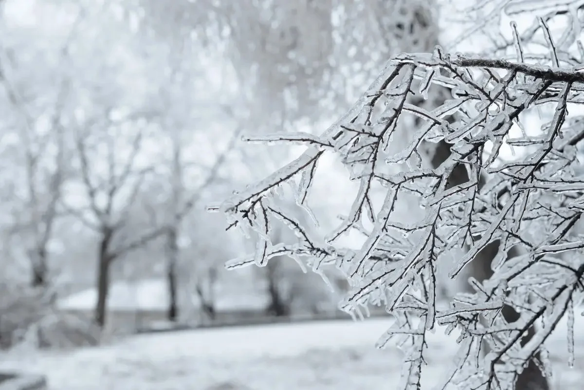 Қазақстанның 13 өңірінде дауылды ескерту жарияланды