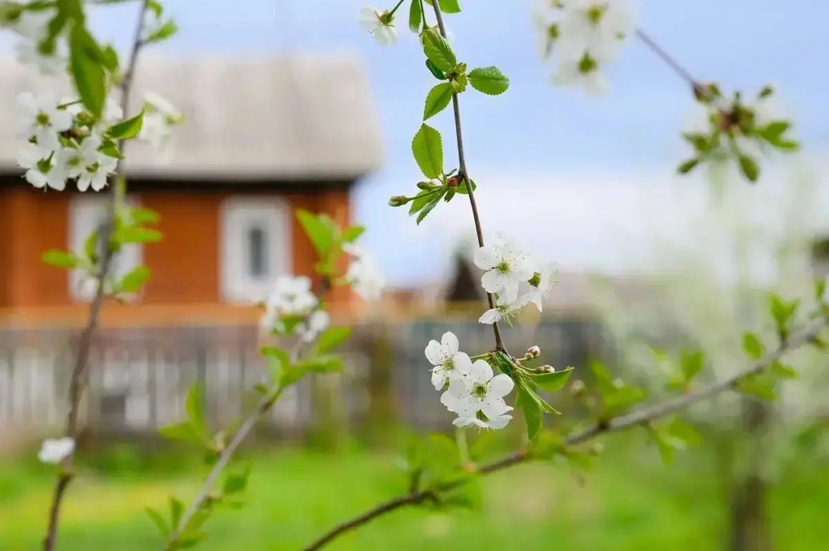 6 мамырда Қазақстанның басым бөлігінде жауын-шашын болмайды