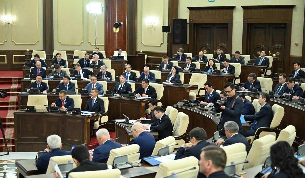 «Кемі 15 кітап оқиды»: бір топ депутат үкіметке «Кітап оқитын ұлт» идеясына қатысты үндеу тастады