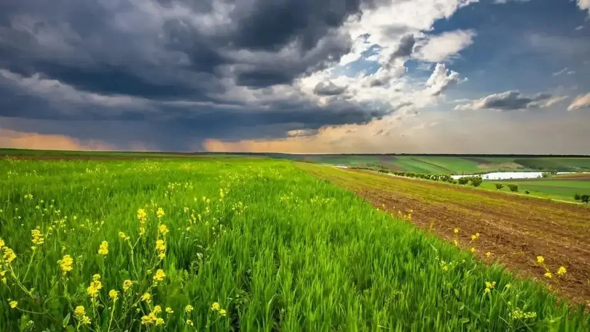 Найзағай, аптап ыстық: 4 маусымға арналған ауа райы болжамы