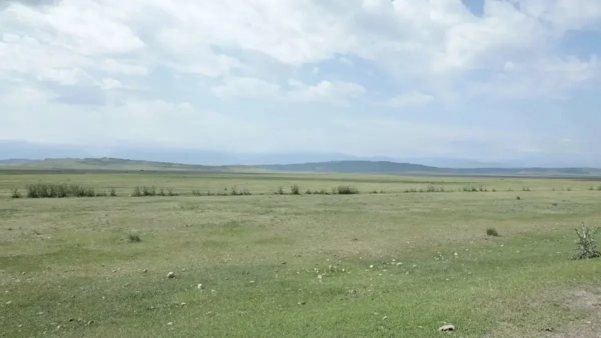 Ақмола облысында жөнсіз пайдаланған ондаған мың гектар жер мемлекетке қайтарылды