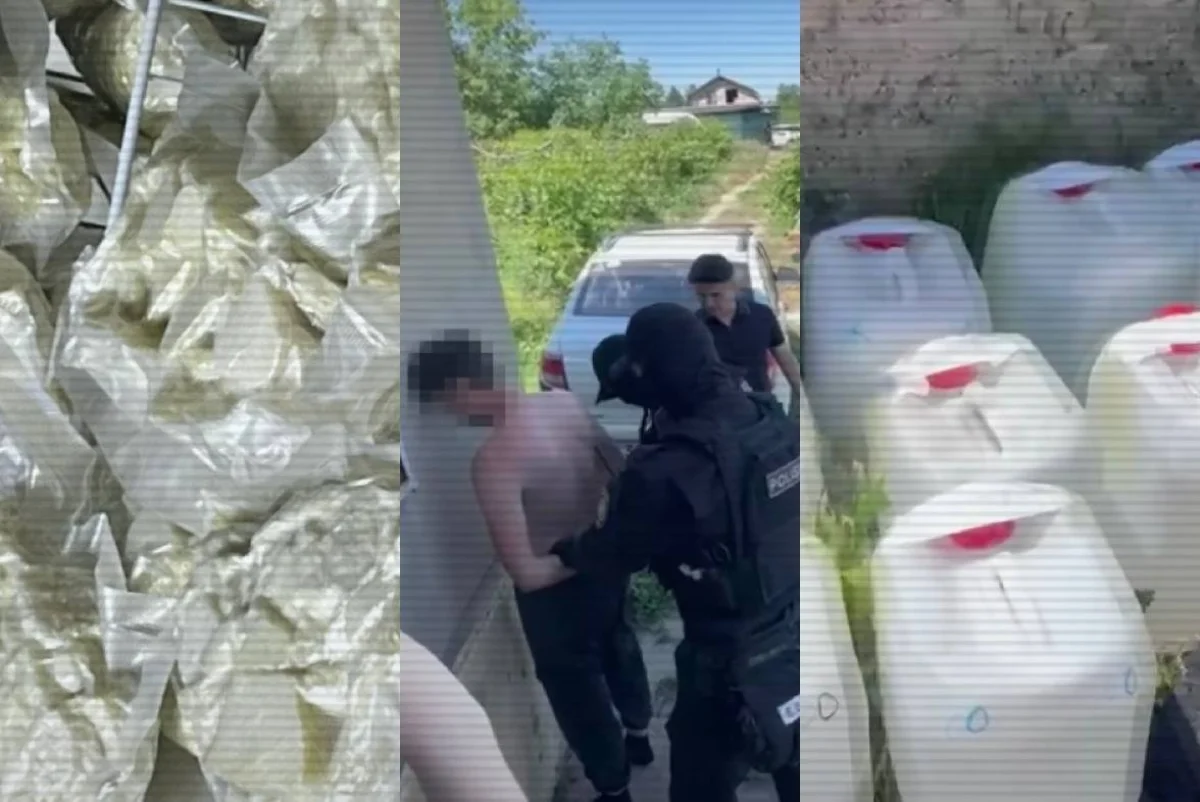 Қарасай ауданының тұрғыны жер үйінде 125 мың доза есірткі өсірген – ол енді өмір бойына сотталуы мүмкін (ВИДЕО)