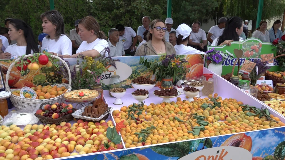 Өрік Fest-2026: как главный бренд Уйгурского района покоряет международные рынки