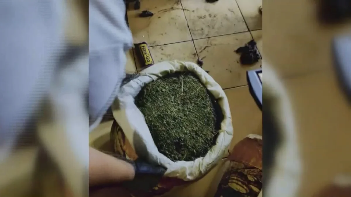 Ақтауда аса ірі көлемде есірткі сақтады деген күдікті ұсталды