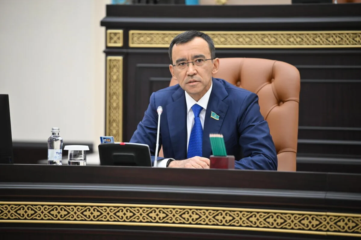 Құрылтайға жаңа адамдар келуі керек — Мәулен Әшімбаев