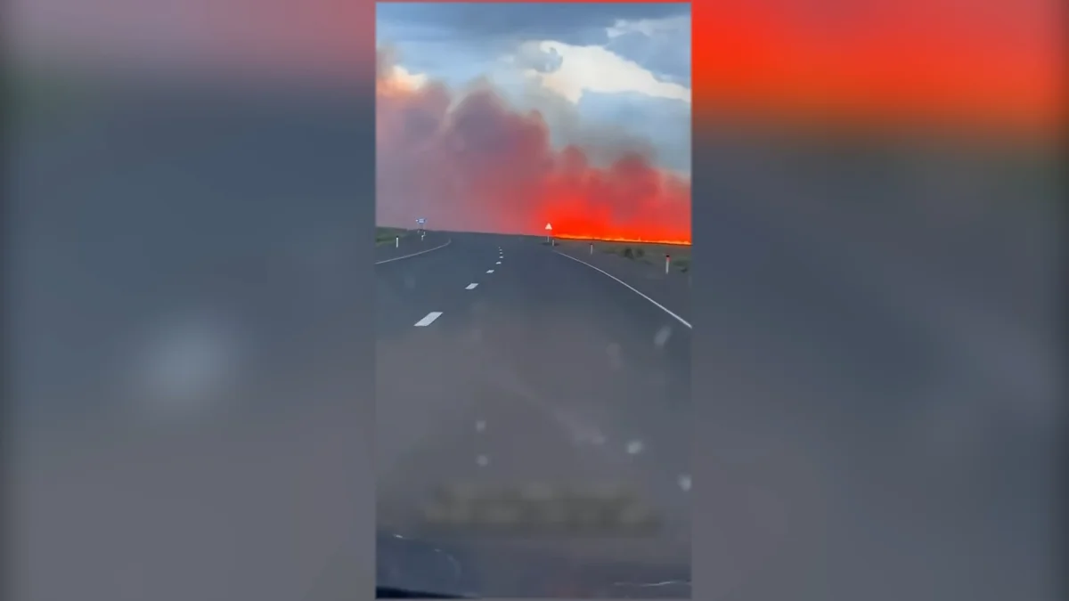 Абай облысында көл жағасындағы қамыс пен құрғақ шөп өртеніп жатыр