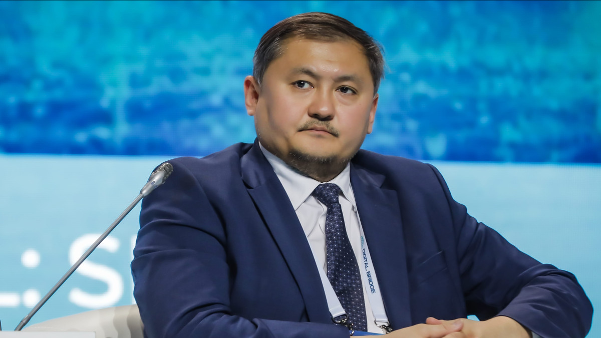 Конституция как стратегическая опора развития страны — Саясат Нурбек