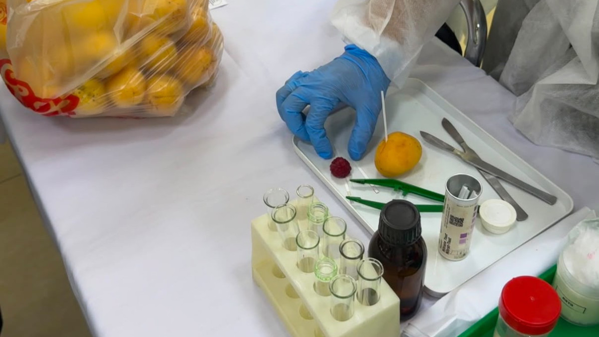 Астанада көкөністердегі нитрат мөлшерін жедел анықтау акциясы өтті