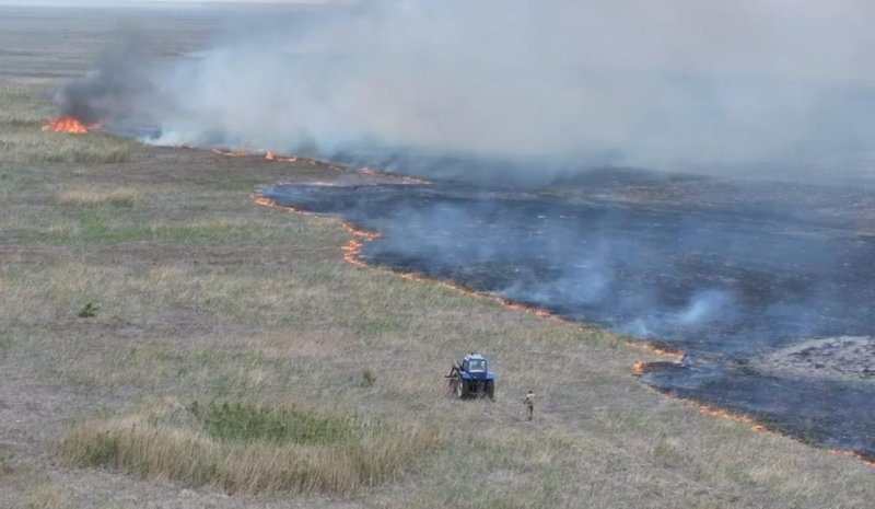 Болота горят под Атырау: огонь охватил почти 70 гектаров