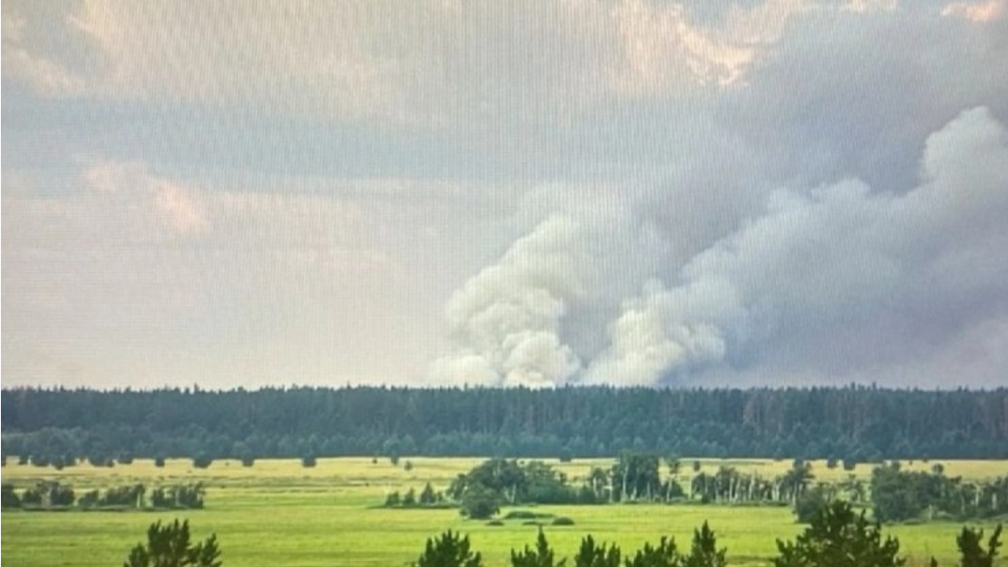 Павлодар облысындағы "Ертіс орманы" резерватында өрт шықты