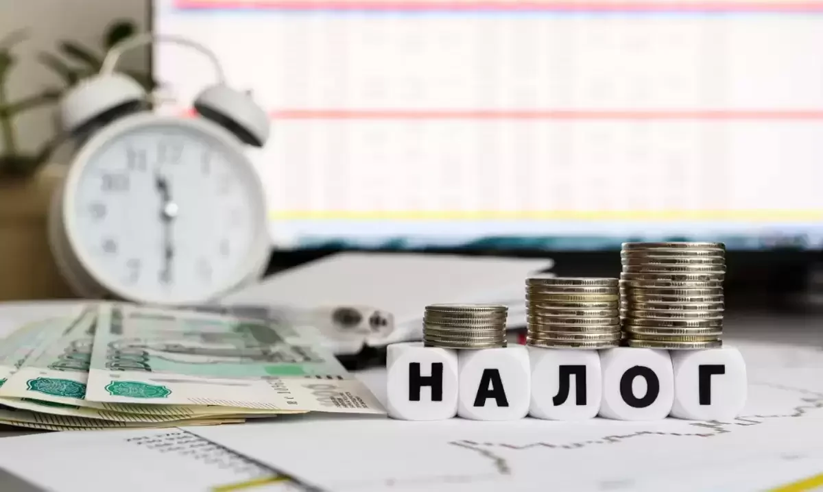 "Налоги можно отсрочить". Казахстанцы услышали приятную новость