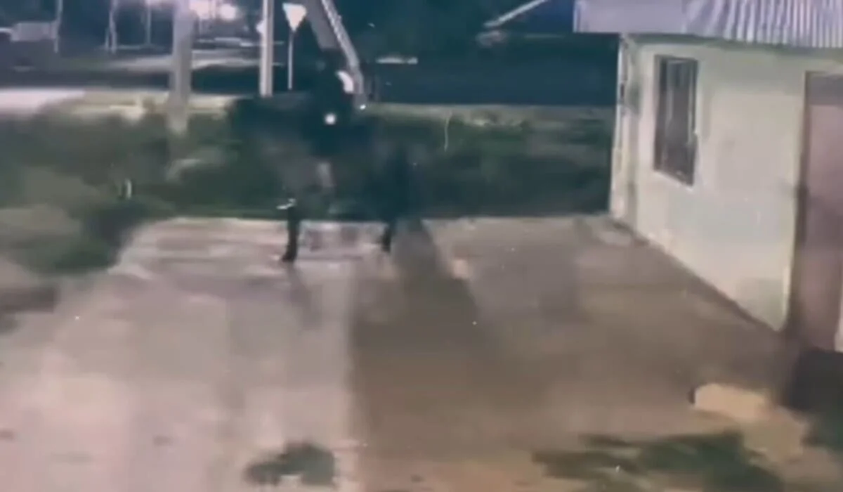 Парень угнал жеребца и попытался скрыться верхом в Уральске (ВИДЕО)