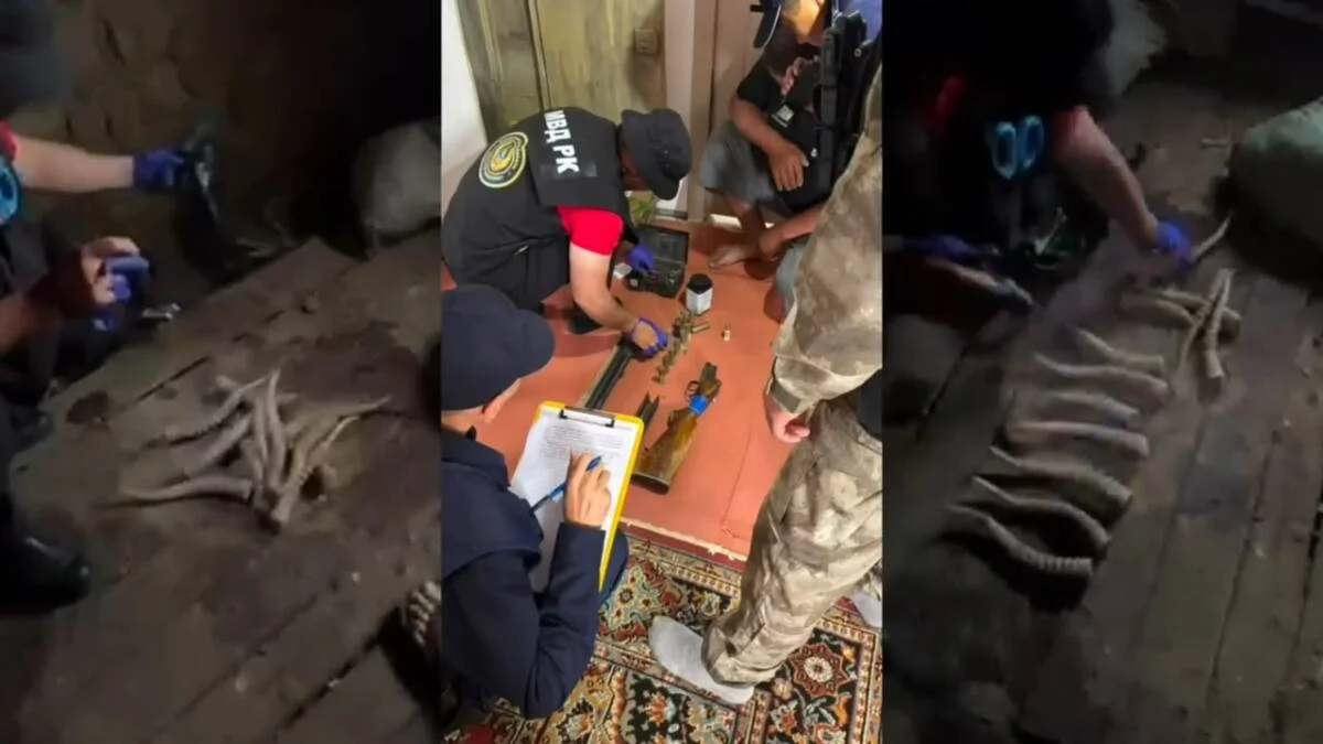 Ақтөбе облысында полицейлер киік мүйізі мен ұшасын тәркіледі