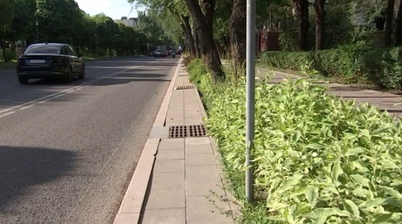 Война за арыки: алматинцы запустили петицию против закрытия каналов