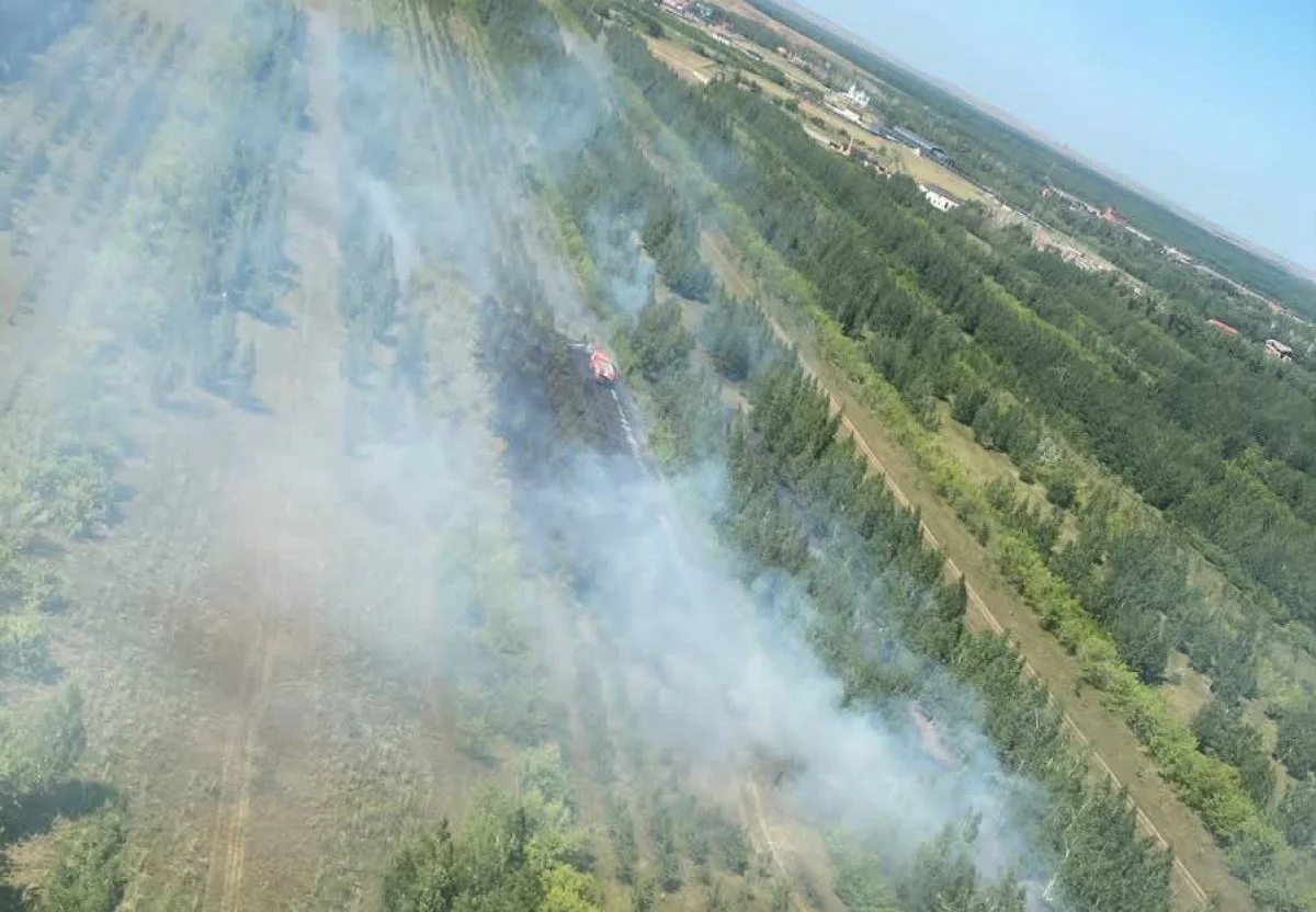 Қазақстанда бір тәулікте бес орман өрті шықты