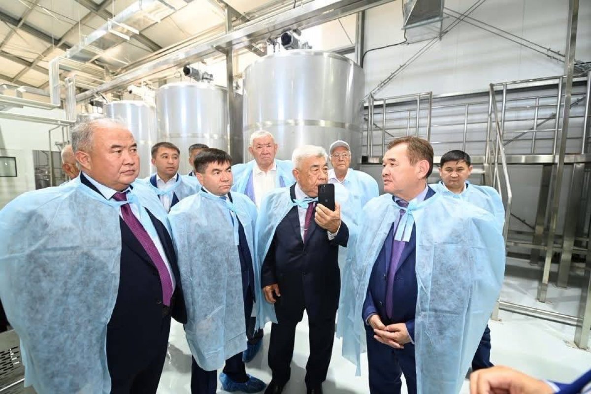 Қызылорда облысында жоғары сұрыпты ас тұзы өндірілмек