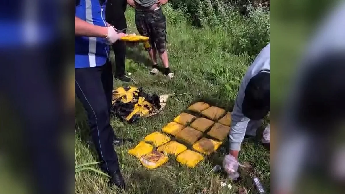 Есірткі қылмысына тосқауыл: Қазақстанда төрт контрабанда арнасы анықталды