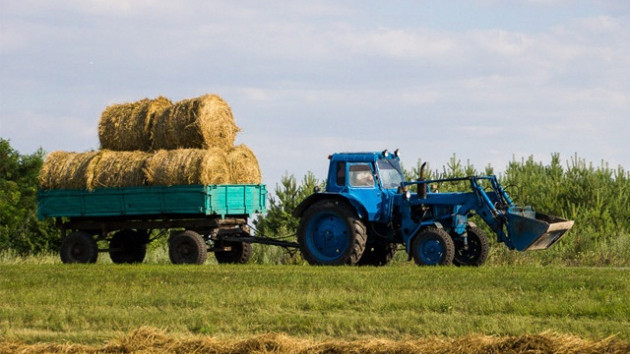 Қазақстан қыстың қамына кірісті: Қанша мал азығы дайындалды?