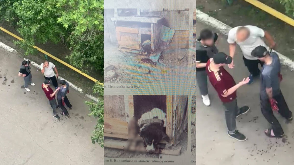 Петропавлда ер адам итке қатыгездік көрсетіп, қинап өлтірген