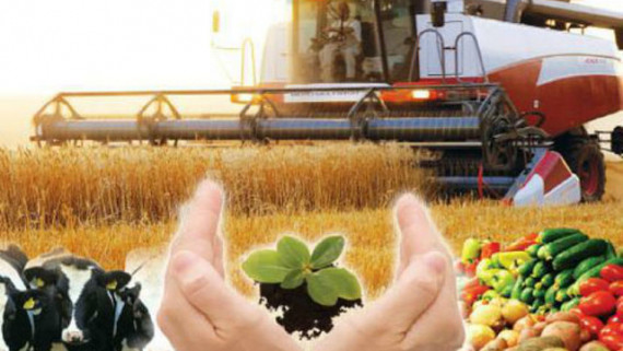 Үкімет агроөнеркәсіп кешенінің экспорттық әлеуетін күшейтеді